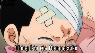 Thồn báo của Momonosuke