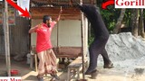 Gorilla Attack Prank เล่นตลกกอริลลาปลอมที่น่ากลัวในที่สาธารณะ (ตอนที่ 7) นายมัสติ ทีวี