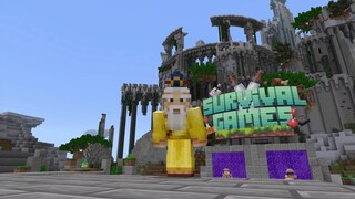 Minecraft / The Survival Games Arena | The Cube Craft Server Part 3