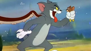 The Cat and the Mermouse (1949)