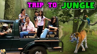 TRIP TO JUNGLE | Family Travel Vlog to Ranthambore | Aayu and Pihu Show