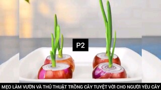 MẸO LÀM VƯỜN VÀ THỦ THUẬT TRỒNG CÂY TUYỆT VỜI CHO NGƯỜI YÊU CÂY #2