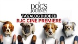 A DOGS JOURNEY TAGALOG COURTESY OF RJC CINE PREMIERE