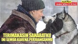 Persahabatan Anak Manusia Dengan Seekor Anjing Kereta Salju | Alur Cerita Film IRON WILL (1994)