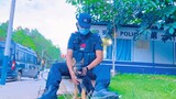 [Dog] Yan Xu did not become a police dog