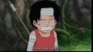 episode yg bikin air mata terkuras 😭 arigato Ace 😭