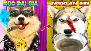 Thú Cưng Vlog 🐶 Ngáo Và Ngơ Ham Ăn #31 | Chó ngáo Husky vui nhộn | Pets funny cute smart dog