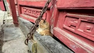 Hidup itu seperti film, selalu ada yang berperan sebagai pencuri~