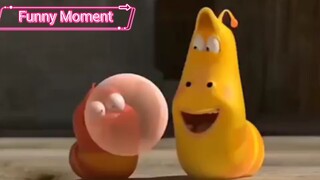 Larva: funny moment