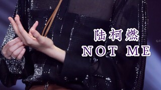 【陆柯燃】透视装演绎《NOT ME》狂野小猫来了！