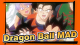 [Dragon Ball/MAD] Pioneer of Action Anime