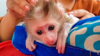 Massage Lover!! Tiny adorable Luca was so happy & refreshing when Mom gently massage for her