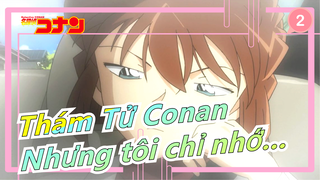 [Thám Tử Conan AMV] Cậu có rất nhiều kỷ niệm, nhưng tôi chỉ nhớ đó là những điều đẹp đẽ_2