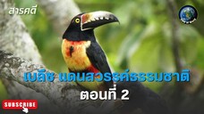 เบลีซ แดนสวรรค์ธรรมชาติ ตอนที่ 2 สารคดีพากย์ไทย Unknown Belize