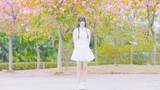 [Dance]Dance under Winter Flower|BGM: 恋はきっと急上昇