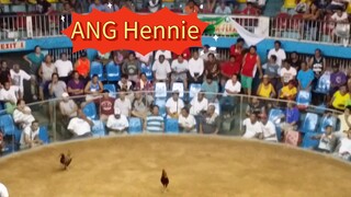 ANG Hennie (old video)