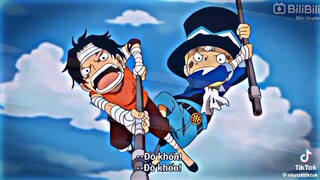 con cá sấu nhọ nhất one piece :)))))))