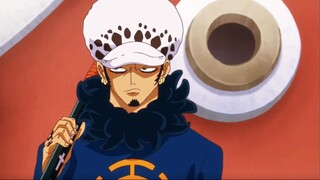 One Piece | Lihat betapa bahagianya Trazai tersenyum!