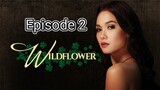 wildflower episode 2 full episodes // English sub//Philippines //