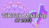 Best TikTok Mashup of 2023 of the Philippines (Special announcement)