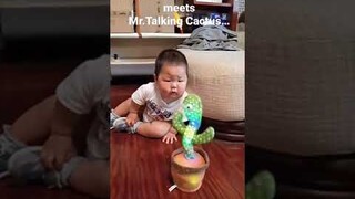 Funny video: when a Chinese baby meets the talking cactus…