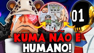 REVELADO NOVA RAÇA! KUMA FAZ PARTE DA NOVA RAÇA TECNOLÓGICA DE ONE PIECE - VEGAPUNK PREVÊ SEU FUTURO