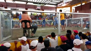 LDB Caldelaria prefinal QCBA 3 wins