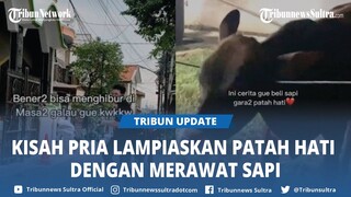 Kisah Pria Lampiaskan Patah Hati Beli Sapi, Dirawat Akhirnya Jadi Sapi Kurban dan Cuan, Tuai Pujian