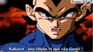 Kế hoạch mới, sự kết hợp không tưởng #Dragon Ball_TV