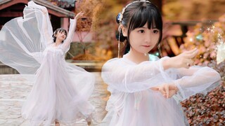 “长珩仙君夸我咯～”｜苍兰诀《寻一个你》