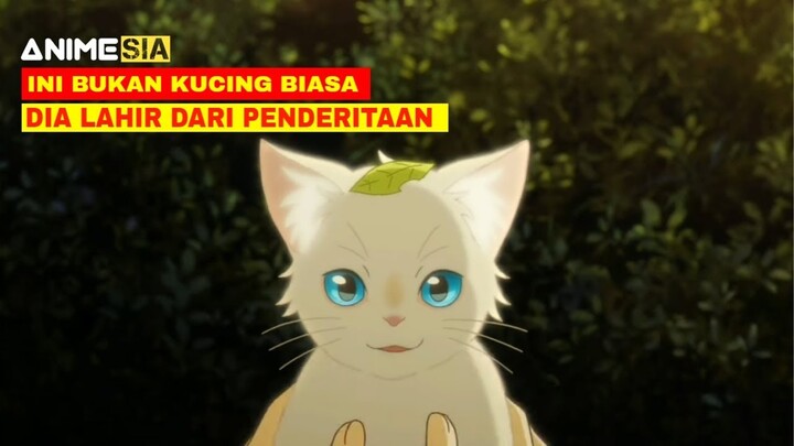 Kucing Ini Bukan Kucing Biasa __ Seluruh Alur CErita Anime A Wishker Away
