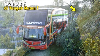 BUS BESAR NYASAR KE TENGAH HUTAN