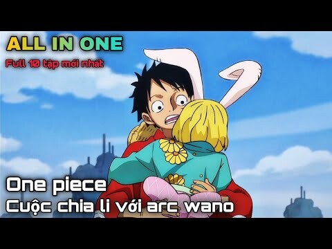 ALL IN ONE | ONE PIECE TẬP 1075 - 1085 | ARC WANO QUỐC || season 20 || kira_review all