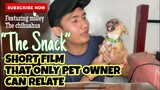 THE SNACK | SHORT FILM | ONLY DOG OWNER CAN RELATE