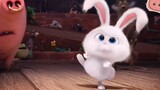 [AMV]Violent but cute bunny in <The Secret Life of Pets>