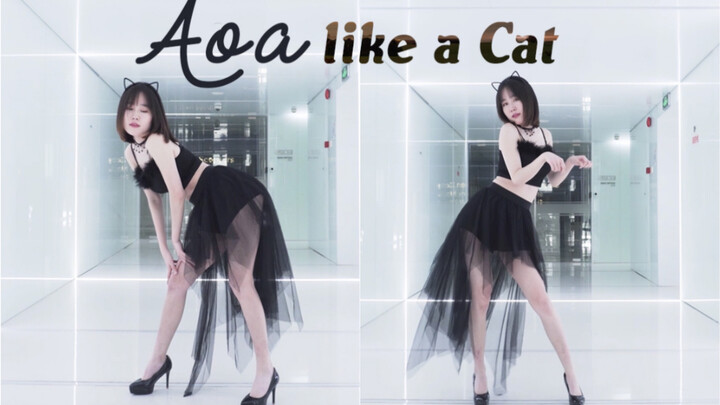 【Hyan】like a cat 猫步轻俏 性感猫系女友 在线夺你心