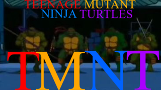 TMNT 2K3 Theme Song