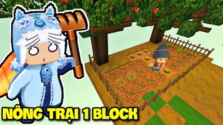 MEOWPEO SINH TỒN 1 BLOCK: THỬ THÁCH XÂY RUỘNG TRỒNG CÂY SIÊU XỊN TRONG MINI WORLD