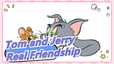 [Tom and Jerry] Maybe It's the Real Friendship