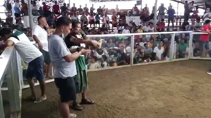 First win ni binabae vs abohon (sayang na tabunan yung kiskis nya) #sabong