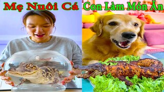 Thú Cưng TV | Gâu Đần và Bà Mẹ #27 | Chó Golden Gâu Đần thông minh vui nhộn | Pets cute smart dog