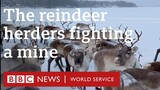 The reindeer herders fighting a mine - BBC World Service