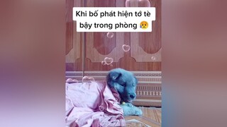 Phạt nặng 😂 yeucho yeuchomeo cún cúncon chó chómèo chócon chó_cưng chókhôn yeuchomeo cưng chócute pet dog dogsoftiktok doggo