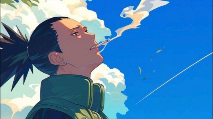 SHIKAMARU GMV