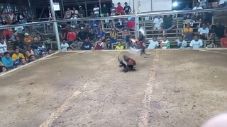 win