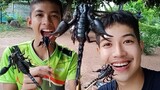 ให้น้องลองกินแมงป่อง ครั้งแรกในชีวิต จะกินได้ไหม...