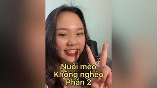 Làm nhà mèo không tốn một xu mèo cat UMTYouMakeTomorrow meohay meow