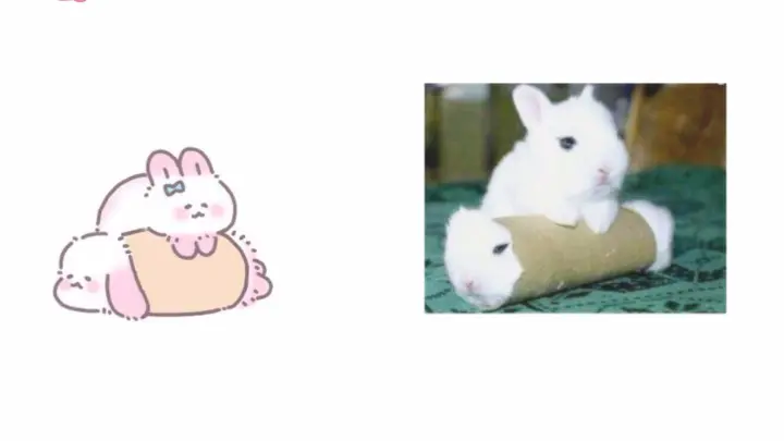A Lazy Rabbit video