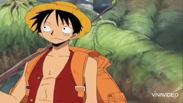 momen luffy bernyanyi kocak