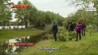 Law of the Jungle in Mongolia [5] ENG SUB